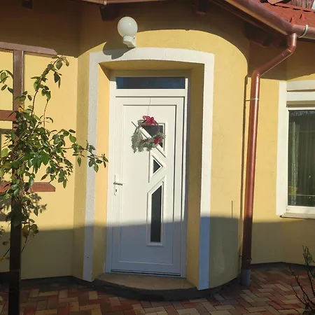 Dorina 佐洛卡罗斯