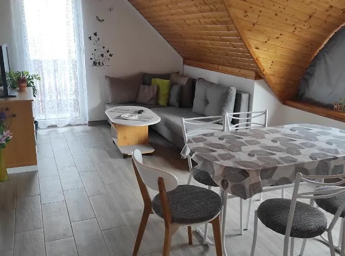 Dorina 佐洛卡罗斯