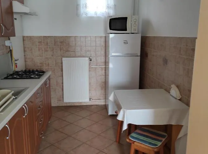 Dorina 佐洛卡罗斯