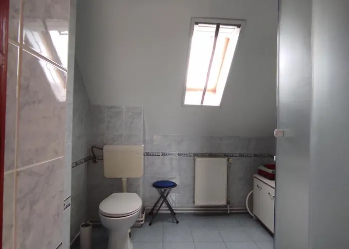 Dorina 佐洛卡罗斯