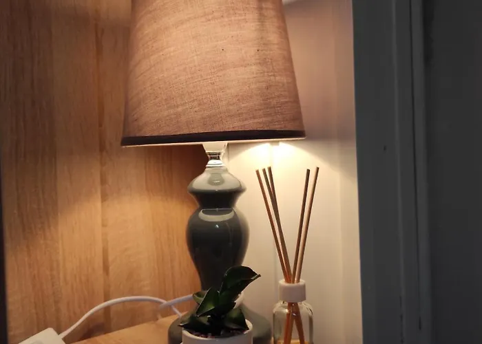 Dorina * 佐洛卡罗斯