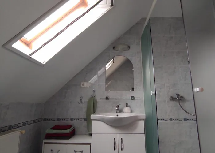 Dorina 佐洛卡罗斯