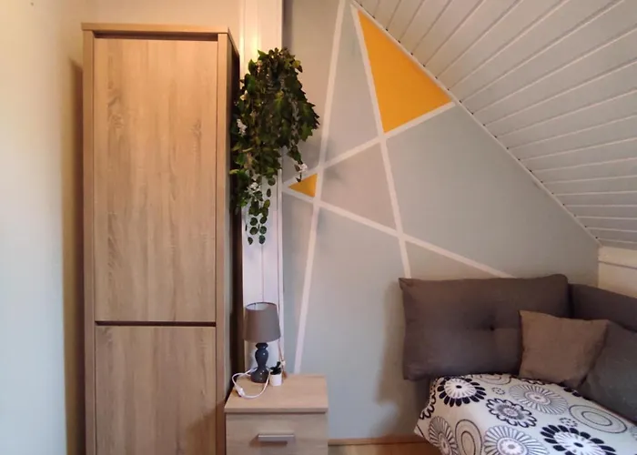 Dorina * 佐洛卡罗斯