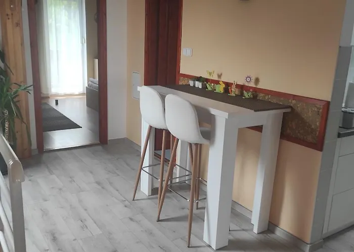 Dorina * 佐洛卡罗斯