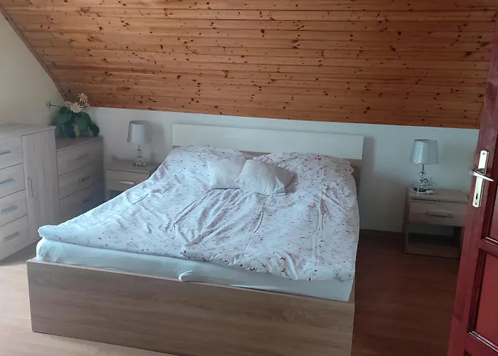 Dorina 佐洛卡罗斯