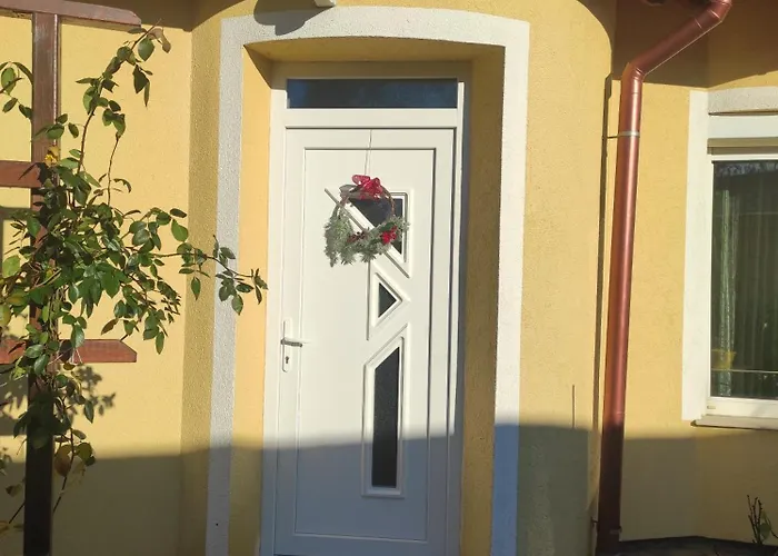 Dorina 佐洛卡罗斯